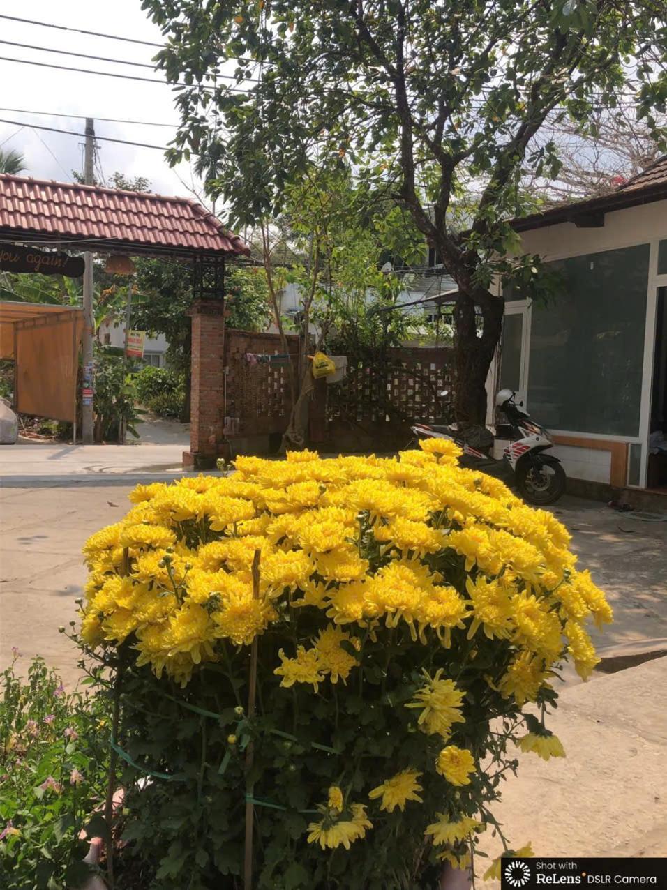 Gecko House Hotel Phu Quoc Buitenkant foto